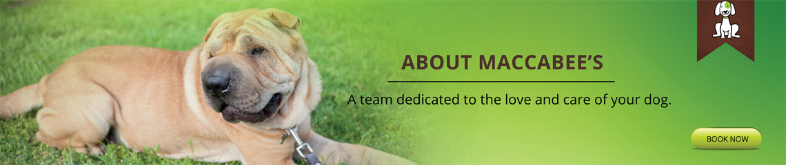 dog hotel and care image