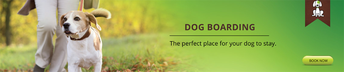 dog hotel and grooming image