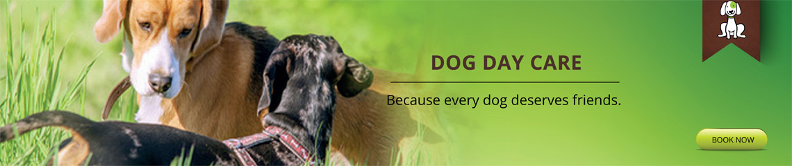 dog hotel and grooming image