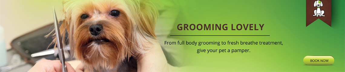 dog hotel and grooming image